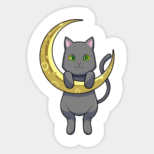 Cat Night Moon Sticker